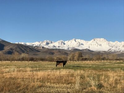 Ranch Life Bishop CA